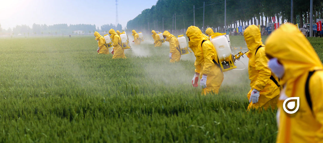 The Truth about Pesticides: Chemical Warfare on All Bodies of Life