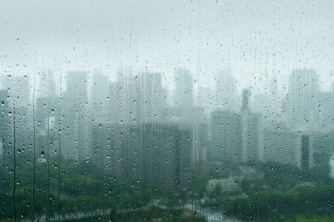 Acid Rain & Water Pollution: The Cycle, Consequences, and the Only Viable Solution