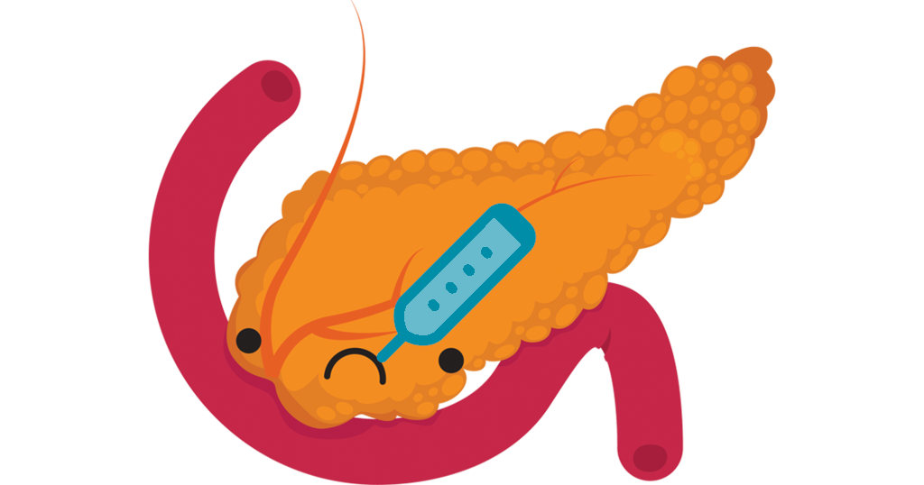 Understanding the Pancreas?