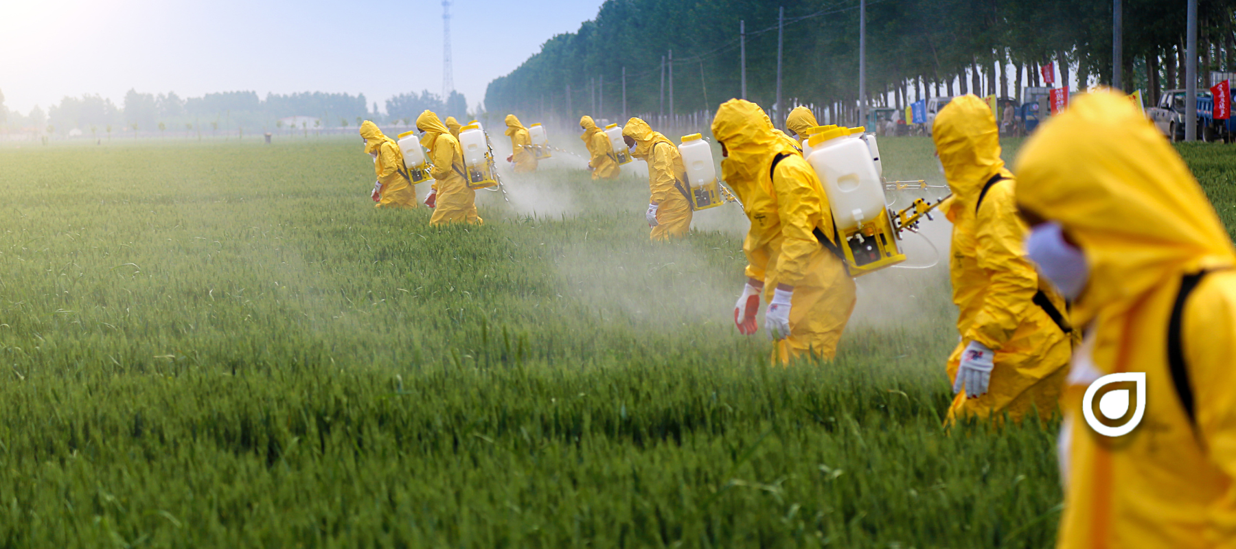 The Truth about Pesticides: Chemical Warfare on All Bodies of Life