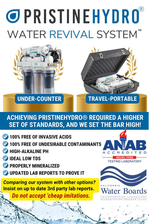 PristineHydro Travel Portable Water Revival System PristineHydro PristineHydro Travel Portable Water Revival System PristineHydro